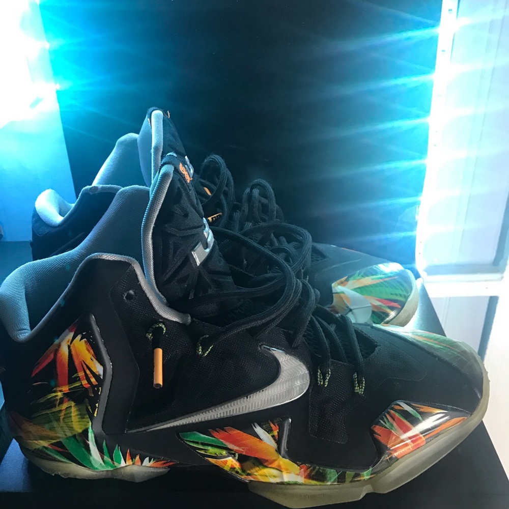 Nike Lebron 11 Everglades